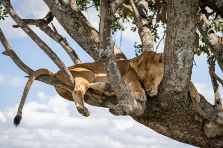 3 Equator days in Queen Elizabeth National Park.